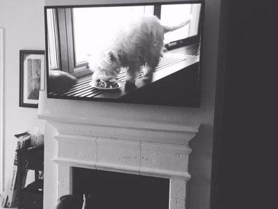 19278fe31c7f7c555e360d3f25a74a18o2